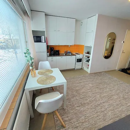 Peaceful Studio, Great Location, Free Parking Apartment Pori