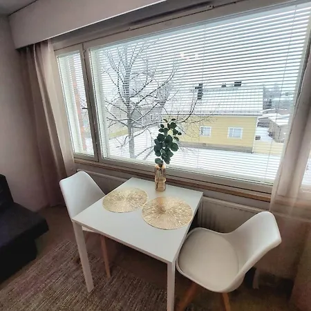 Apartment Peaceful Studio, Great Location, Free Parking Pori